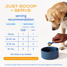 Load image into Gallery viewer, Native Pet Pumpkin for Dogs - Organic Powder Pumpkin Puree Dog Food Toppers -Rich in Fiber Supplement Powder Helps with Digestion, Nutrient Absorption, Diarrhea, Constipation &amp; Upset Stomach-60 Scoops
