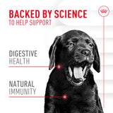 Royal Canin Puppy Supplement Soft Chews for Immunity & Digestion, 60 Count