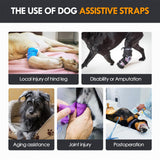 BARDIMIES Dog Lift Harness for Back Legs–Sturdy Dog Support Sling–Hip Sling Carrier for Large Medium Canine, Stair Helper for Aid Old Ligament Rehabilitation Pet, Grey,S