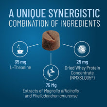 Load image into Gallery viewer, Nutramax Solliquin Calming Behavioral Health Supplement for Small to Medium Dogs and Cats - With L-Theanine, Magnolia / Phellodendron, and Whey Protein Concentrate, 75 Soft Chews
