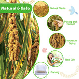 Millet for Birds 1.2LB, Natural Sun-Dried Spray Seed No Stems Only Edible Tops for Parakeet, Budgies, Finches, Cockatiels, Parrots, Lovebird, Hamster and Other Pets Treat