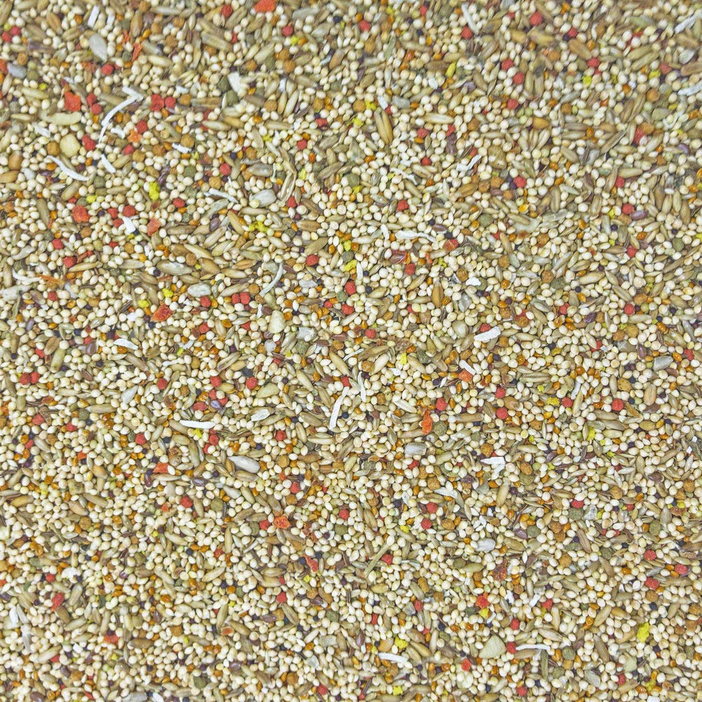 Higgins 2 Pack of Sunburst Gourmet Blend Parakeet Food, 2 Pounds Each, with Protein Egg Food