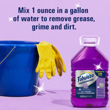 Fabuloso Professional All Purpose Cleaner & Degreaser - Lavender, 1 Gallon (Pack of 1)