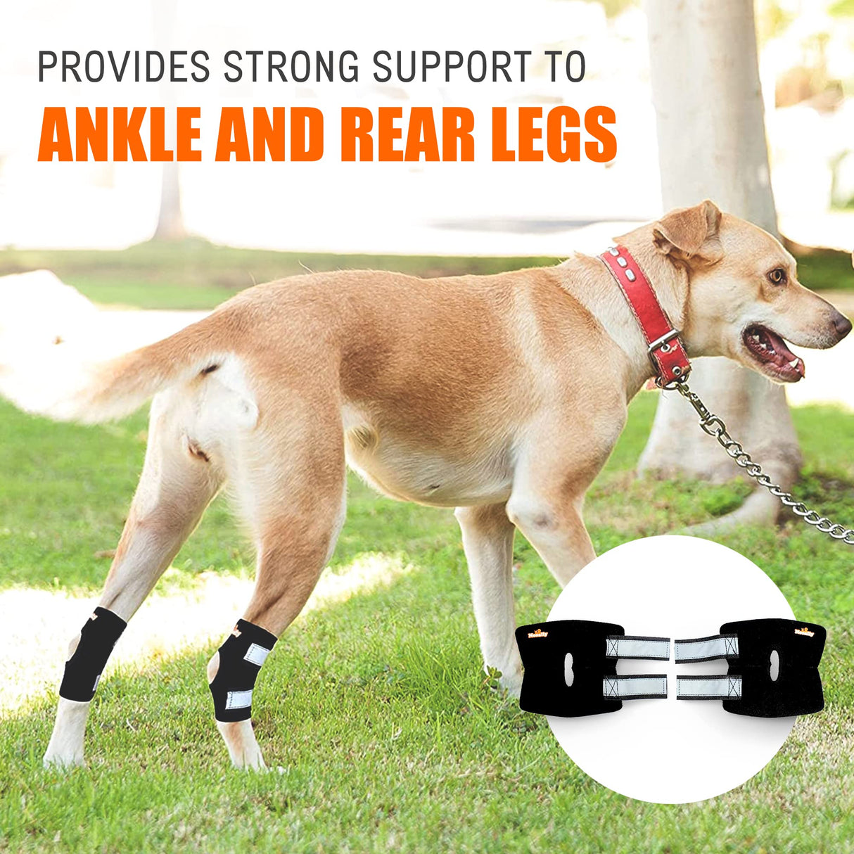 NeoAlly Cat and Dog Ankle Brace Pair Canine Rear Leg Hock Support with Safety Reflective Straps for Hind Leg Wounds Heal and Injuries and Sprains from Arthritis (S Pair)