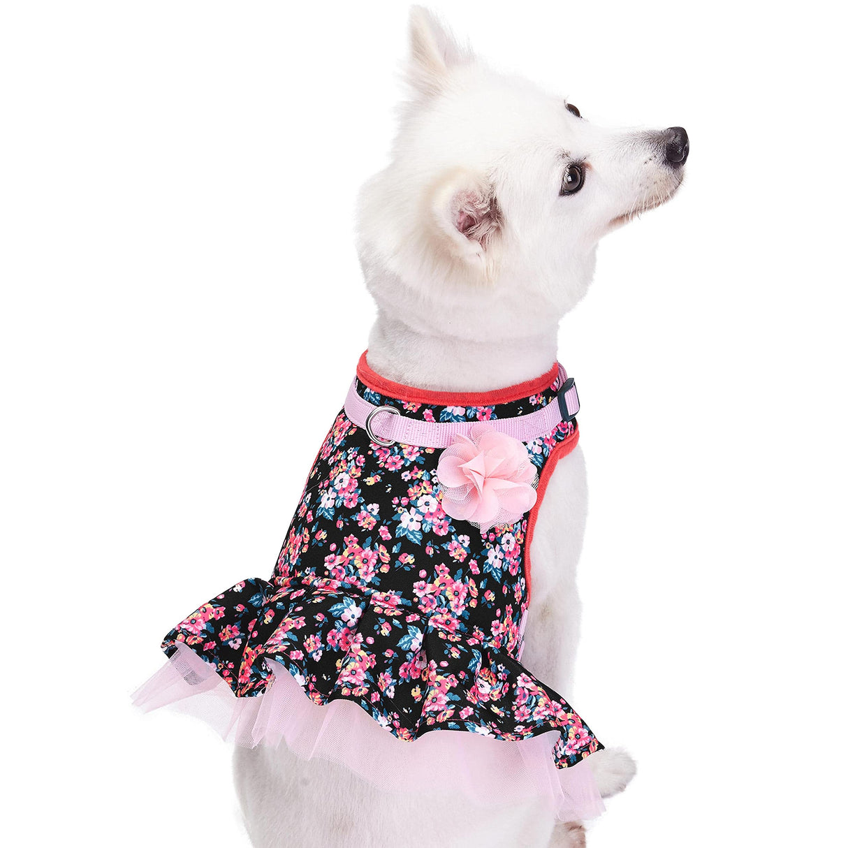 Blueberry Pet New Soft & Comfy Made Well Elegant Floral No Pull Mesh Dog Costume Harness Dress in Sleek Black, Chest Girth 19"-21", Small, Adjustable Harnesses for Dogs