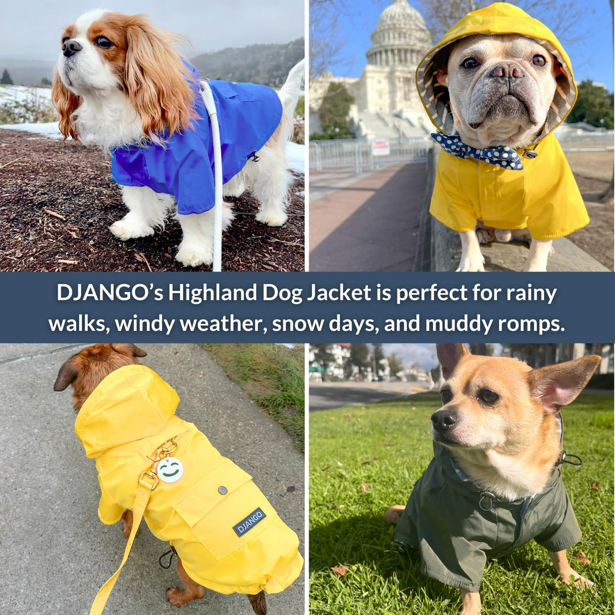 DJANGO Highland Dog Jacket & Raincoat – Water-Repellent, Lined Dog Coat with Hood, Adjustable Fit & Harness Hole – Lightweight Rain & Wind Jacket for Small & Medium Dogs up to 30 lbs (Red, Medium)
