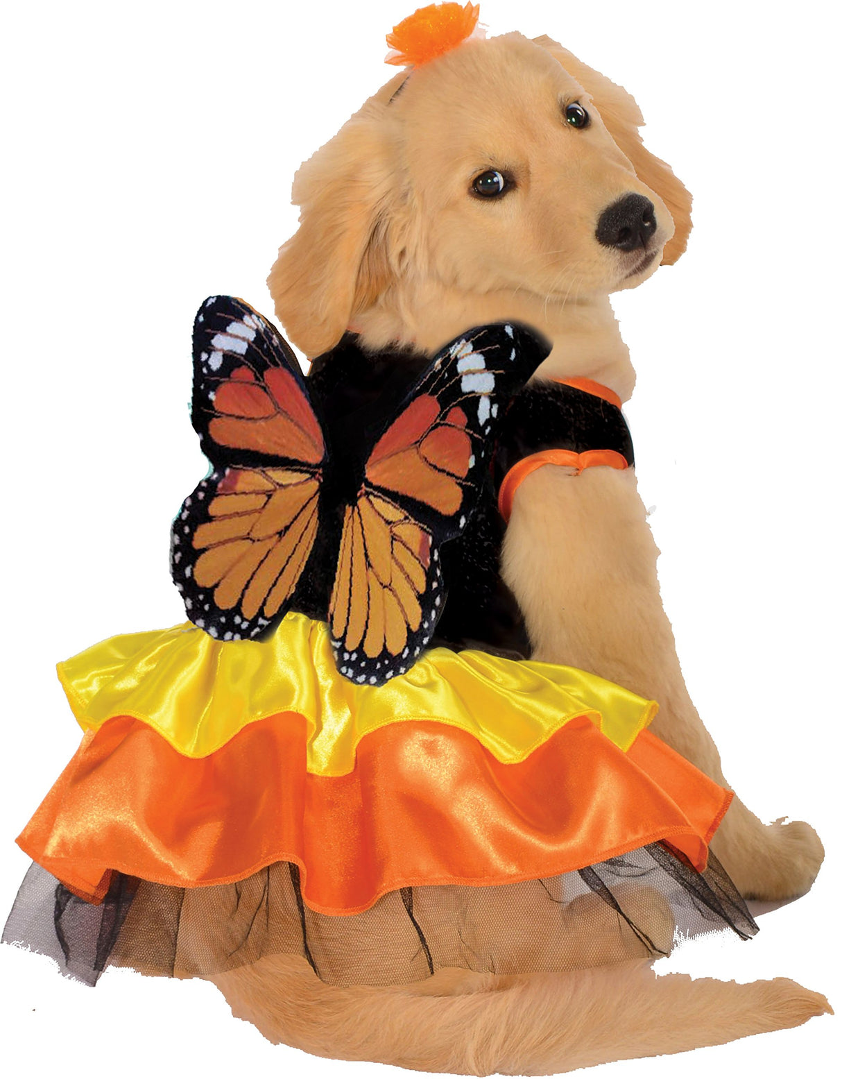 Rubies Monarch Butterfly Pet Costume for Dogs or Cats, Small