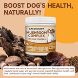 Mushroom for Dogs - with Turkey Tail Mushroom for Dogs, Lion’s Mane, Shiitake, 100g Powder, Immune & Digestive Health, Enhances Energy, Lumps & Bumps Supplement, Organic Mushrooms Supplement for Dog