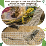 Silkfly 2 Pieces Bearded Dragon Hammock Lizard Reptile Climbing Lounger Seagrass Fiber Habitat Tank Accessories Jungle Toys for Hermit Crab Gecko Snake Iguana Amphibian