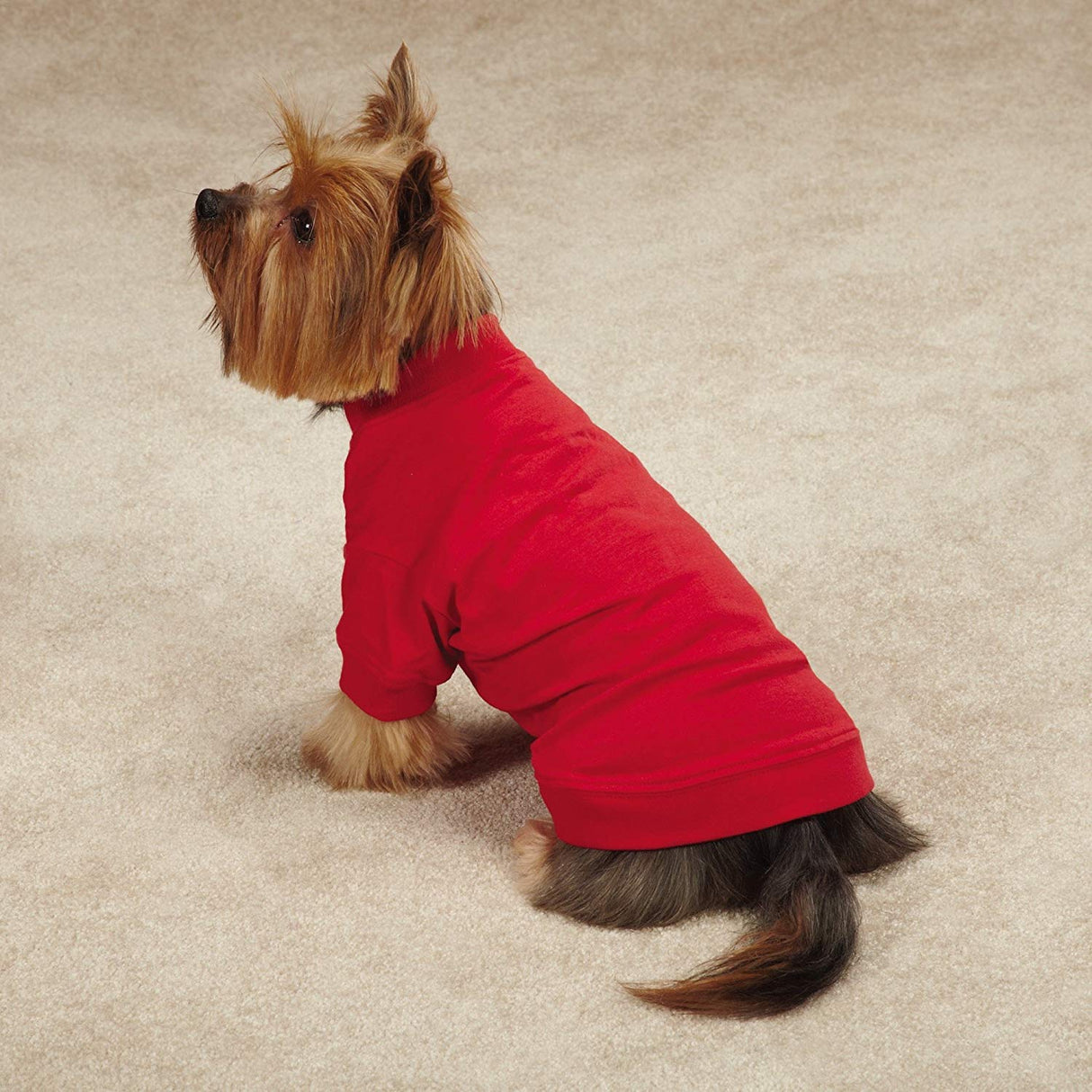 Zack & Zoey Basic Tee Shirt for Dogs, 16" Medium, Red