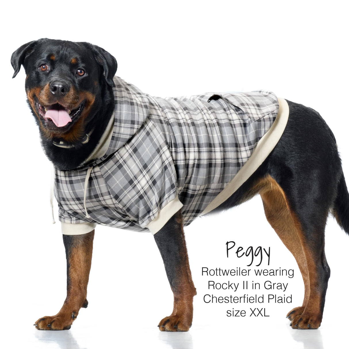 Pet Passion Rocky II - The Extra Comfy Hoodie, Organic Cotton and Recycled Poly Dog Hoodie Pet Coat Sweater for Small, Medium, Large Dogs, Gray Chesterfield Plaid, Large