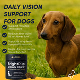 BrightPup Dog Vision Chews, Dog Vision Supplement with Lutein, Vitamin A/C/E, Bilberry & Omega-3, Supports Eyes Health & Visions Clarity, Bacon Flavor Eye Supplements for Dogs, 30 Soft Chews (1)
