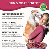 Olewo Red Beets for Dogs Granular – Natural Anti Itch Dog Food Topper, Immune, Cleansing, Skin & Coat Support, Dehydrated Whole Food Multivitamin & Fiber, 22 oz