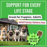 Pawsential No Poo Chews for Dogs - Coprophagia & Stool Eating Deterrent with Probiotics, Digestive Enzymes & Breath Aid Support - Stop Dog Poop Eating - Made in USA - 120 Soft Chews