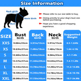 2 Pack Dog Shirt Vest Dog Clothes for Small Dogs Summer Waffle Puppy T-Shirts Soft Sleeveless Pet Clothes Lightweight Medium Large Doggy Outfit Cat Clothing (Blue+Grey, XX-Large)