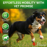 Advanced Glucosamine for Dogs - 170 Chews - Senior Hip and Joint Supplement for Dogs - Glucosamine Chondroitin - Dog Joint Health Pain Relief Pills - MSM - Mobility Support Supplement - Made in USA