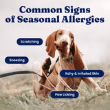 Solid Gold Dog Allergy Relief Chews - Dog Itching Skin Relief & Seasonal Allergies Support - Alaskan Salmon Oil for Dogs Skin, Coat & Immune Support - Bacon Flavor Soft Allergy Chews for Dogs -120ct