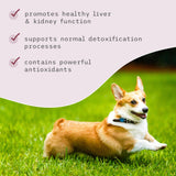 Bark & Whiskers Detox Support - Helps Support Healthy Liver & Kidney Function - Herbal Blend with Organic Milk Thistle & Green Tea - 1.8 oz