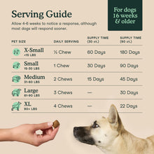 Load image into Gallery viewer, Fera Pets Hip &amp; Joint Supplement for Dogs with Glucosamine, MSM, Chondroitin, &amp; Green Lipped Mussel - Supports Healthy Joints and Weight Management - 90 Soft Chews
