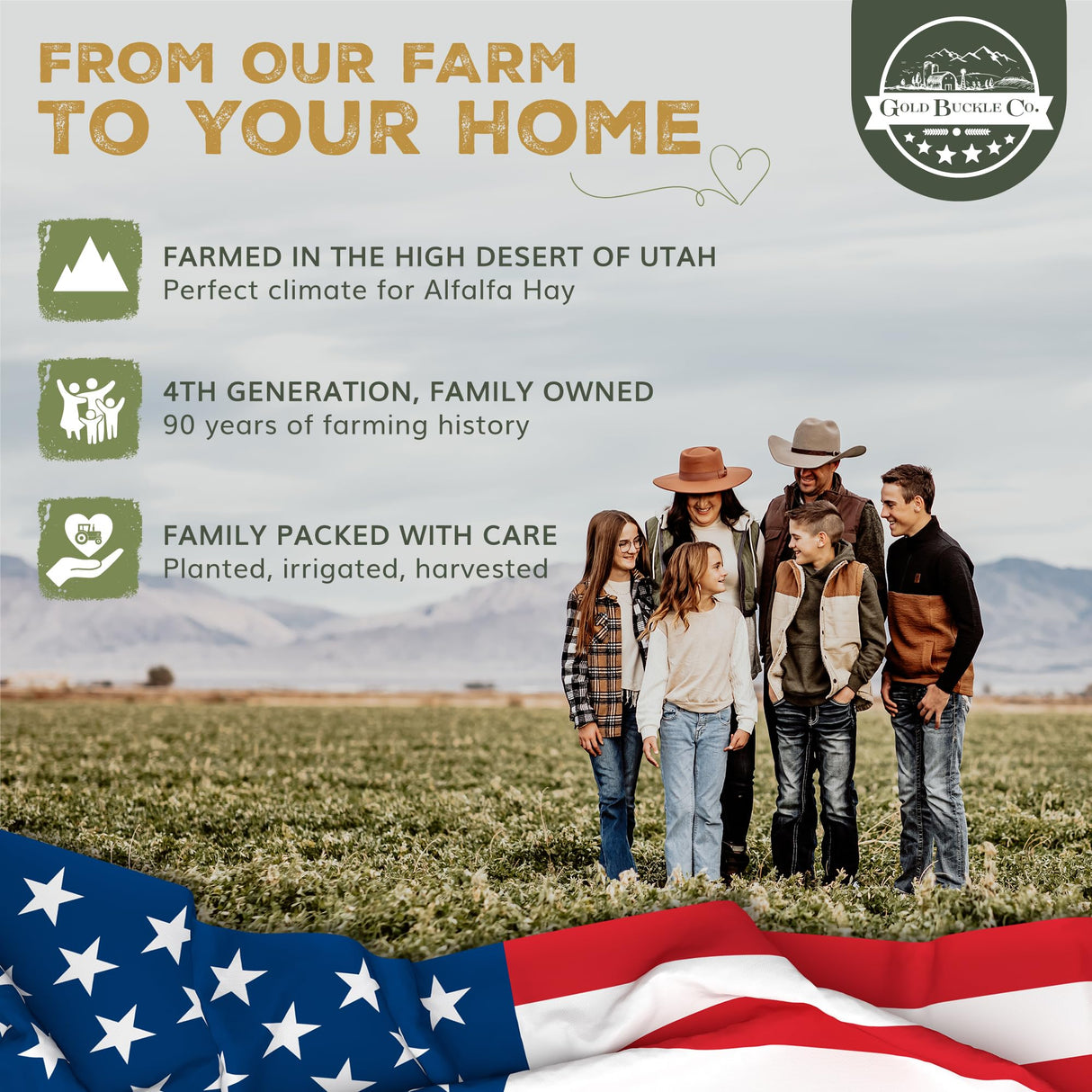 Gold Buckle Co 9lb Farm Fresh, USA Grown, Organic Alfalfa Hay for Rabbits, Guinea Pigs, Chinchillas, Goats, Hamsters & Ferrets - Rabbit Food Rich in Protein & Fiber - Just Dried, Hand-Selected
