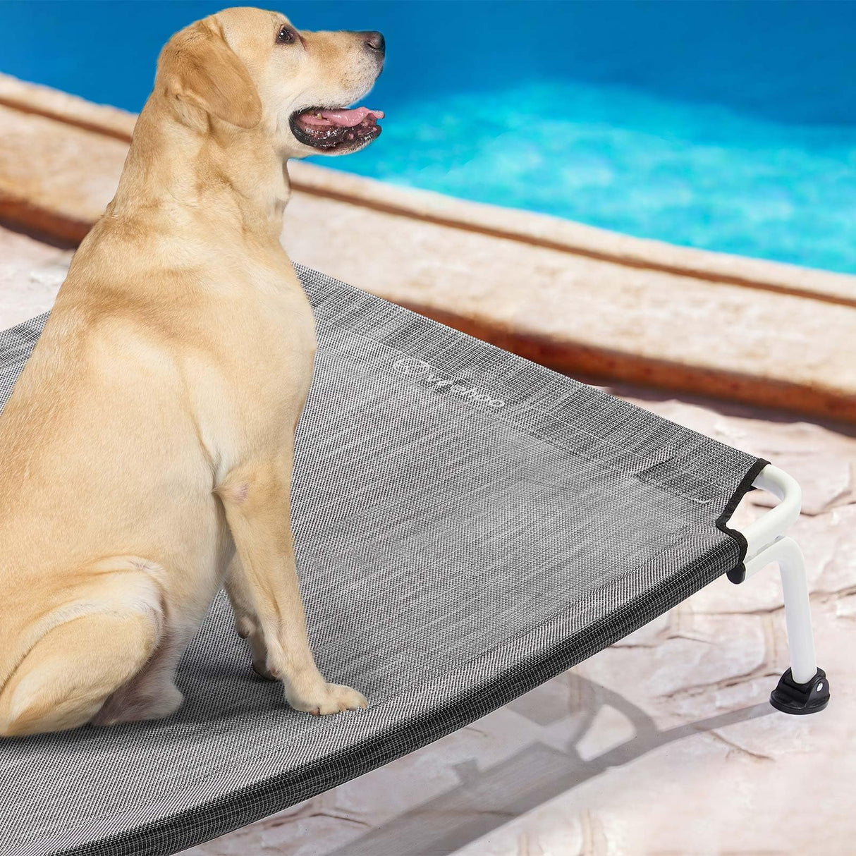 Veehoo Elevated Dog Bed for Outdoor, Cooling Waterproof Raised Dog Cots Beds for Large Dogs, Curved Off Ground Pet Hammock Cot Lifted for Outside, up to 85lbs, White Legs, Black Silver 42"