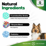 Probiotics for Dogs – Digestive Health Chews with Prebiotics & Enzymes | Dog Probiotic Supplement for Gut, Diarrhea Relief, Gas & Allergy Support – Chicken Flavor Soft Chews