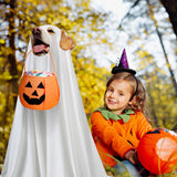Huhumy 2 Pcs Halloween Dog Costumes with Non Woven Pumpkin Bags White Ghost Costume for Dog Cat Ghost Cosplay Clothes, Cute Party Cape for Halloween Cosplay Party(Puppy)
