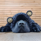 Zoo Snoods Black Bear Costume - Warm Knit Dog Snood Wrap for Pets, Neck Ear Cover Protection, Halloween Winter (Large)