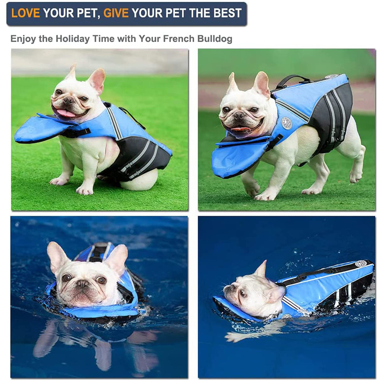 Petglad French Bulldog Life Jacket, Life Vest with Chin Float Rescue Handle for Corgi Pug, Adjustable High Visibility Flotation Swim Vest for Swimming Boating (Blue)