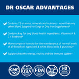 3in1 Blood Aid, Immunity & Energy for Dogs, Iron Supplement for Dogs, Helps Maintain Blood Health, Normal Red Cells Levels & Normal Clotting Function, 120 Tablets
