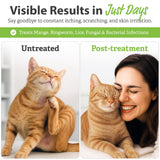 Vet Basics Lime Sulfur Dip – Skin Itch Relief Concentrated Antimicrobial & Antiparasitic Solution for Dogs, Cats, Puppies, Kittens & Horses, Helps Manage Ringworm, Mange, Skin Irritation, 16oz