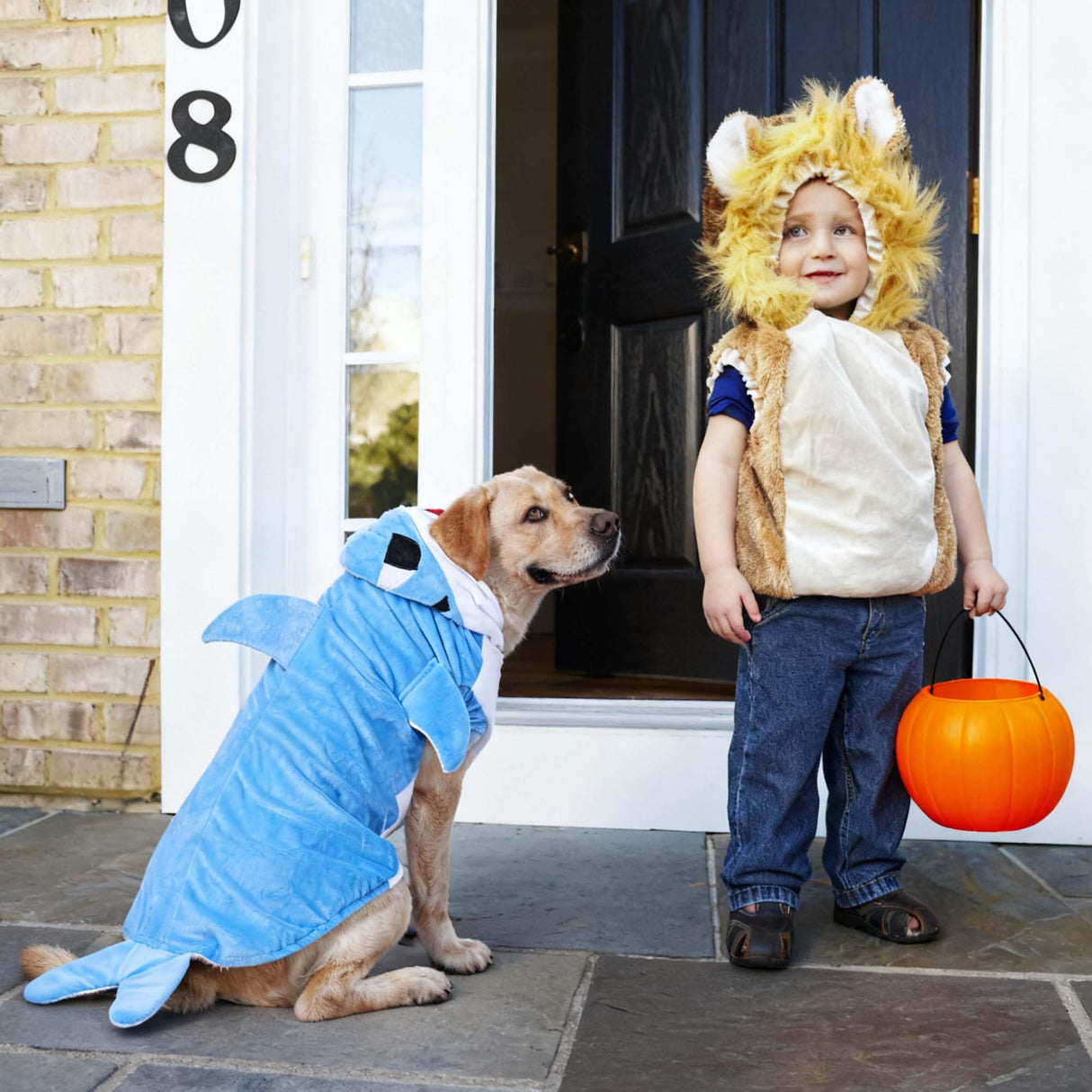 Halloween Dog Shark Costume Outfits for Large Dog Winter Fleece Puppy Jacket Coat Hoodie Funny Dog Clothes Golden Retriever(3XL, Blue)
