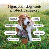 PetLab Co. Probiotics for Dogs, Support Gut Health, Occasional Diarrhea, Digestive Health & Seasonal Allergies - Pork Flavor - 30 Soft Chews - Packaging May Vary