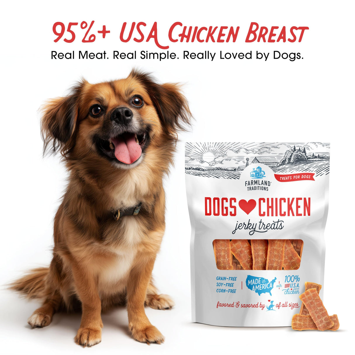 Farmland Traditions Filler Free Dogs Love Chicken Premium Jerky Treats for Dogs, 3 lb. Bag