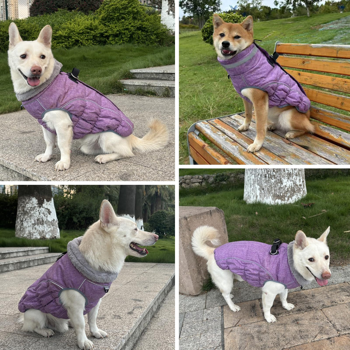 Malier Dog Coat, Reflective Dog Jacket Waterproof Windproof Puppy Cold Weather Coats with Harness Built in, Winter Extra Warm Pet Coat Fleece Vest for Small Large Pets and Puppy (Purple, XXX-Large)