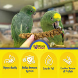 5lbs Economy & Special Spray Millet for Birds – GMO-Free, No Stems (Only Edible Tops) – 100% Natural Sun-Dried Foraging Treat for Cockatiels, Lovebirds, Parakeets, Finches & Canaries