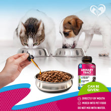 Load image into Gallery viewer, Cat &amp; Dog Urinary Tract Infection Treatment &amp; Natural UTI Medicine Cranberry &amp; D-Mannose -Kidney+Bladder Support - Best Incontinence, Bladder Stones - Pet Renal Health &amp; Care Drops
