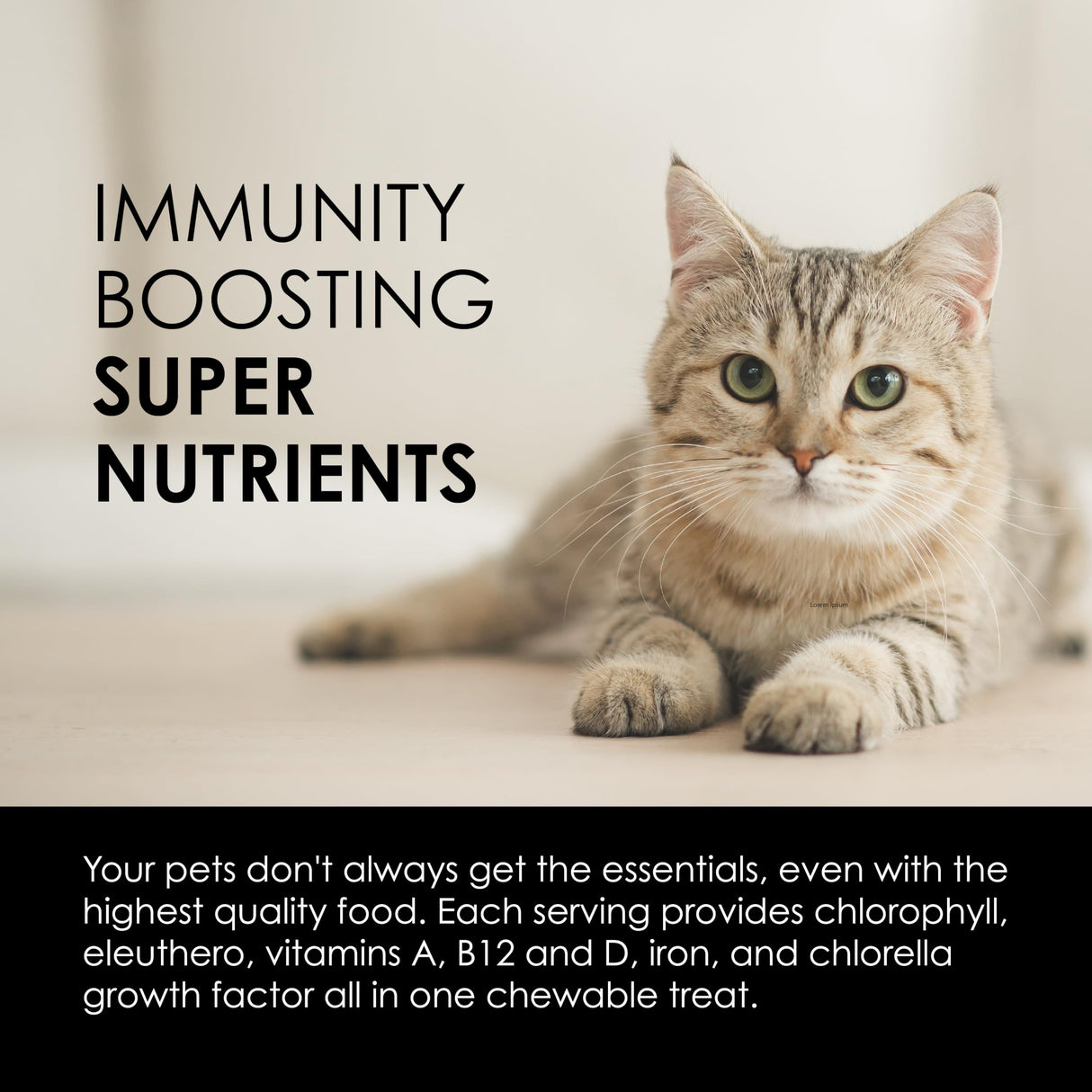 Sun Chlorella Sun Pet Treats Green Superfood Cat & Dog Supplement - Chlorophyll Eleuthero & Lecithin, Minerals, Antioxidants & Vitamins for Dogs & Cats - Immune Defense, Skin & Gut Health - 120 Bites