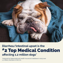 Load image into Gallery viewer, Vetnique Glandex Daily Probiotics for Dogs with Prebiotics to Support Gut Health with Fiber and Digestive Enzymes, Probiotic Chews or Powders (60ct Chews, Bacon Chews)
