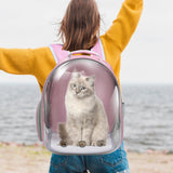 GeerDuo Cat Backpack, Airline Approved Bubble Carrying Bag for Small Medium Dogs Cats, Space Capsule Pet Carrier Dog Hiking Backpack Travel Carrier (Pink)