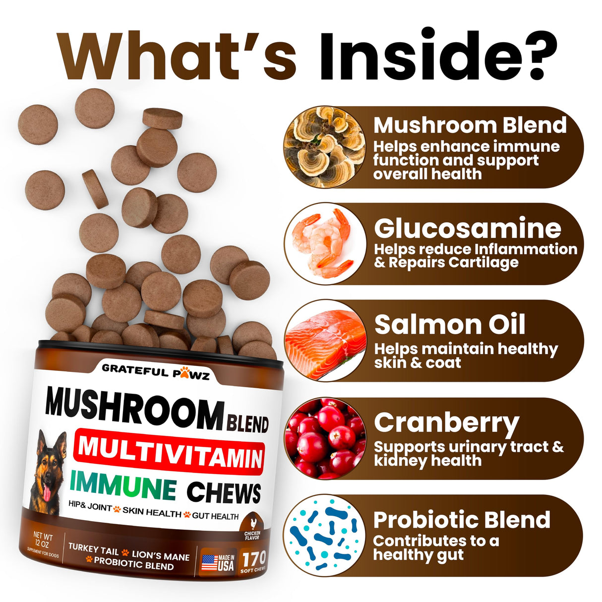 Turkey Tail Mushroom Supplement for Dogs - 170 Chews - Mushrooms for Dogs - Reishi, Lion’s Mane, Glucosamine Multivitamin - Immune Booster, Gut, Hip & Joint Health Support Vitamins, Energy & Skin