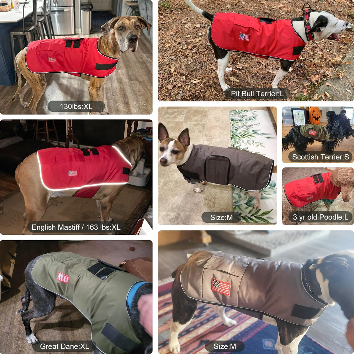 BEAUTYZOO Dog Winter Coat for Large Dogs Waterproof, Warm Reflective Great Dane Oxford Canvas Jacket, Fleece Dog Cold Weather Coats Windproof for Female Male Dogs, Red L