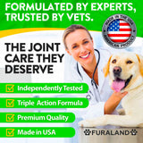 Hemp Hip and Joint Supplement for Dogs - Glucosamine for Dogs - 170 Dog Joint Pain Relief Treats - Chondroitin, Hemp Oil, MSM - Mobility & Flexibility Support - Advanced Care Health - Made in USA