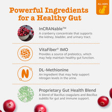 Load image into Gallery viewer, Zesty Paws Stay Green Bites for Dogs - Grass Burn Soft Chews for Lawn Spots Caused by Dog Urine - with Cranberry for Urinary Tract &amp; Bladder - Beef - 90 Count
