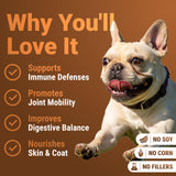 WuffWell Turkey Tail Mushrooms for Dogs – Mushroom Supplement for Dogs Immune Support – Aids Lumps & Bumps – Mushroom Powder for Dog – Vet-Recommended – Dog Mushrooms Powder – Made in USA - 140ct
