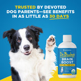 Dr. Buzby’s Brain Boost Organic MCT Oil for Dogs, 16 Oz Human Grade MCTs C8, C10, Senior Dog Dementia, Made from Pure Organic Coconut Oil, Medium Chain Triglyceride Liquid Dog Supplement