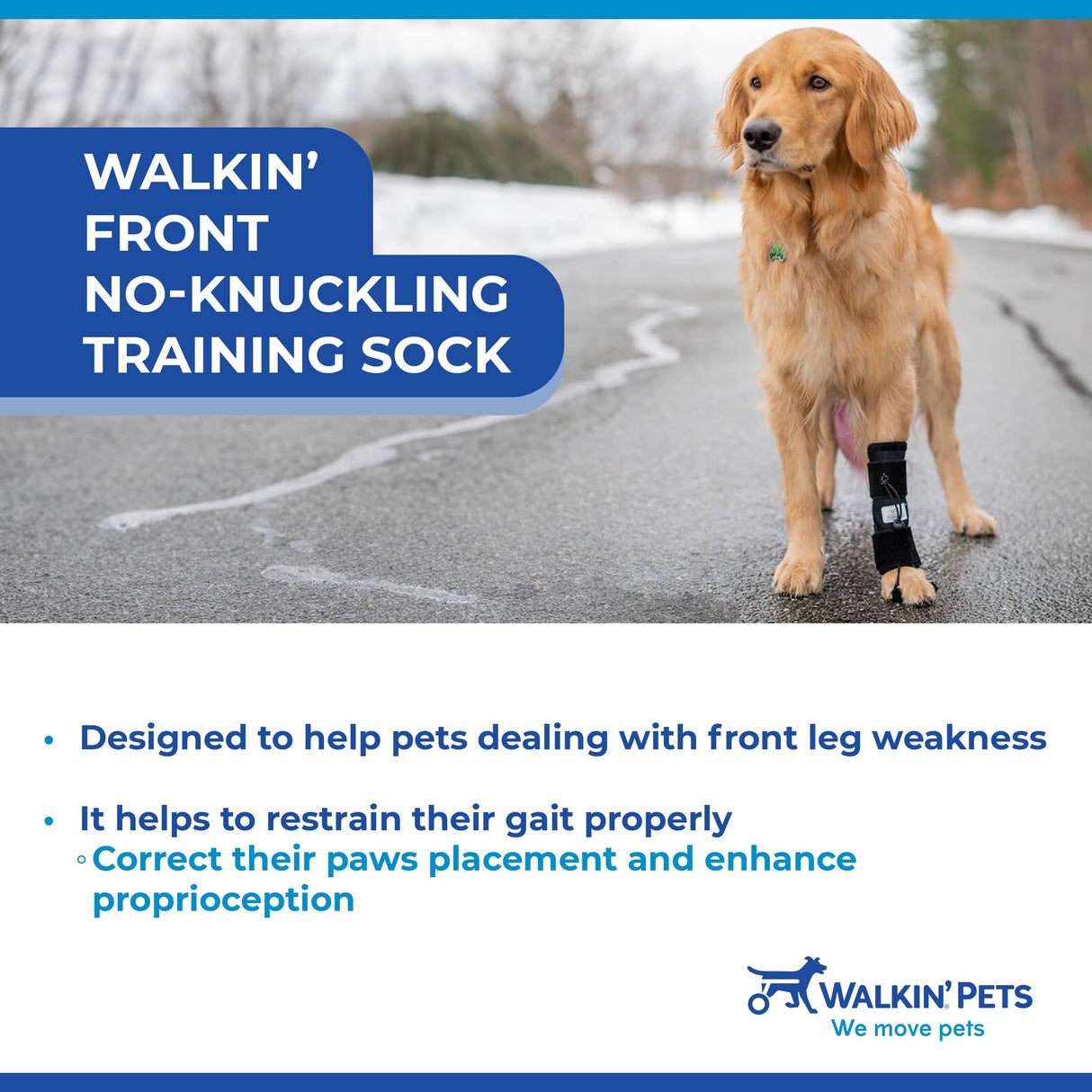 Walkin' Pets Front No-Knuckling Training Socks for Dogs - 3+ Inches, 100+ lbs