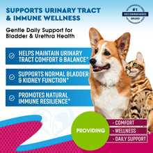 Load image into Gallery viewer, Cat &amp; Dog Urinary Tract Infection Treatment &amp; Natural UTI Medicine Cranberry &amp; D-Mannose -Kidney+Bladder Support - Best Incontinence, Bladder Stones - Pet Renal Health &amp; Care Drops
