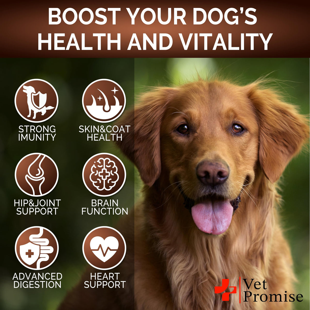 Turkey Tail Mushroom for Dogs - 170 Chews - Mushroom Supplement for Dogs - Lions Mane - Reishi - Immunity Support Multivitamin Vitamins - Joint Health - Energy - Gut - Skin - Made in USA