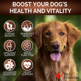 Turkey Tail Mushroom for Dogs - 170 Chews - Mushroom Supplement for Dogs - Lions Mane - Reishi - Immunity Support Multivitamin Vitamins - Joint Health - Energy - Gut - Skin - Made in USA